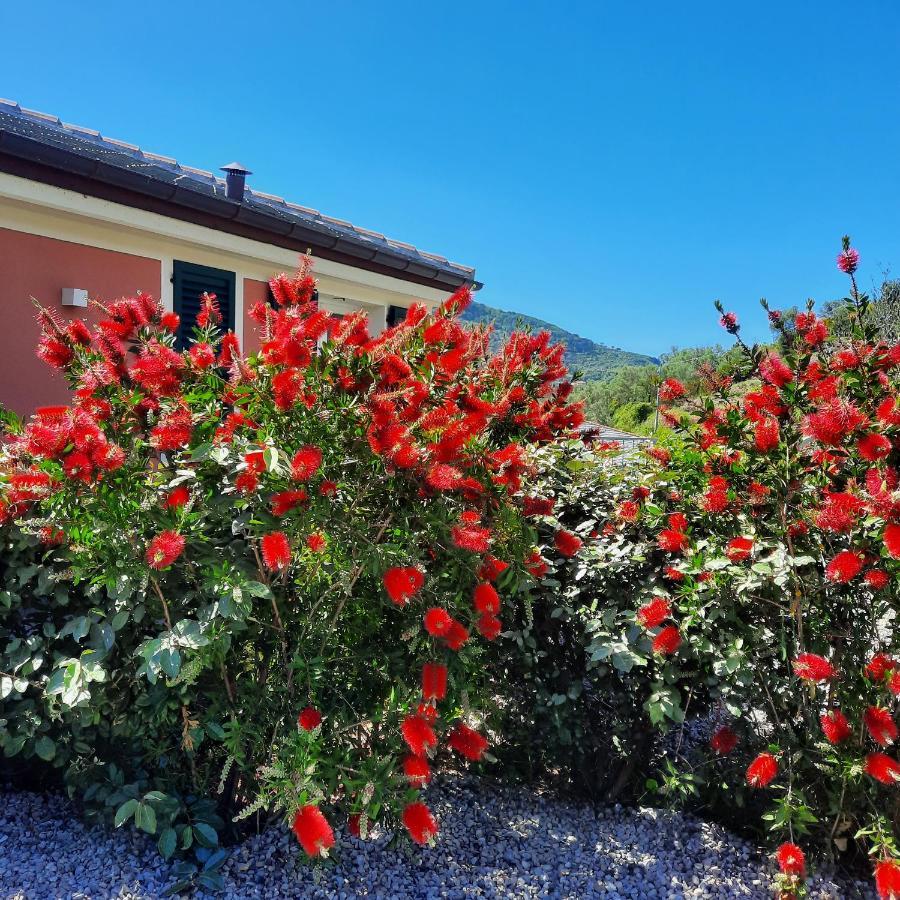Aria Design B&B Λεβάντο Εξωτερικό φωτογραφία